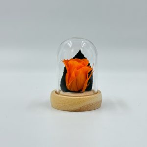 DMINIRO1-Mini-dome-rose-orange