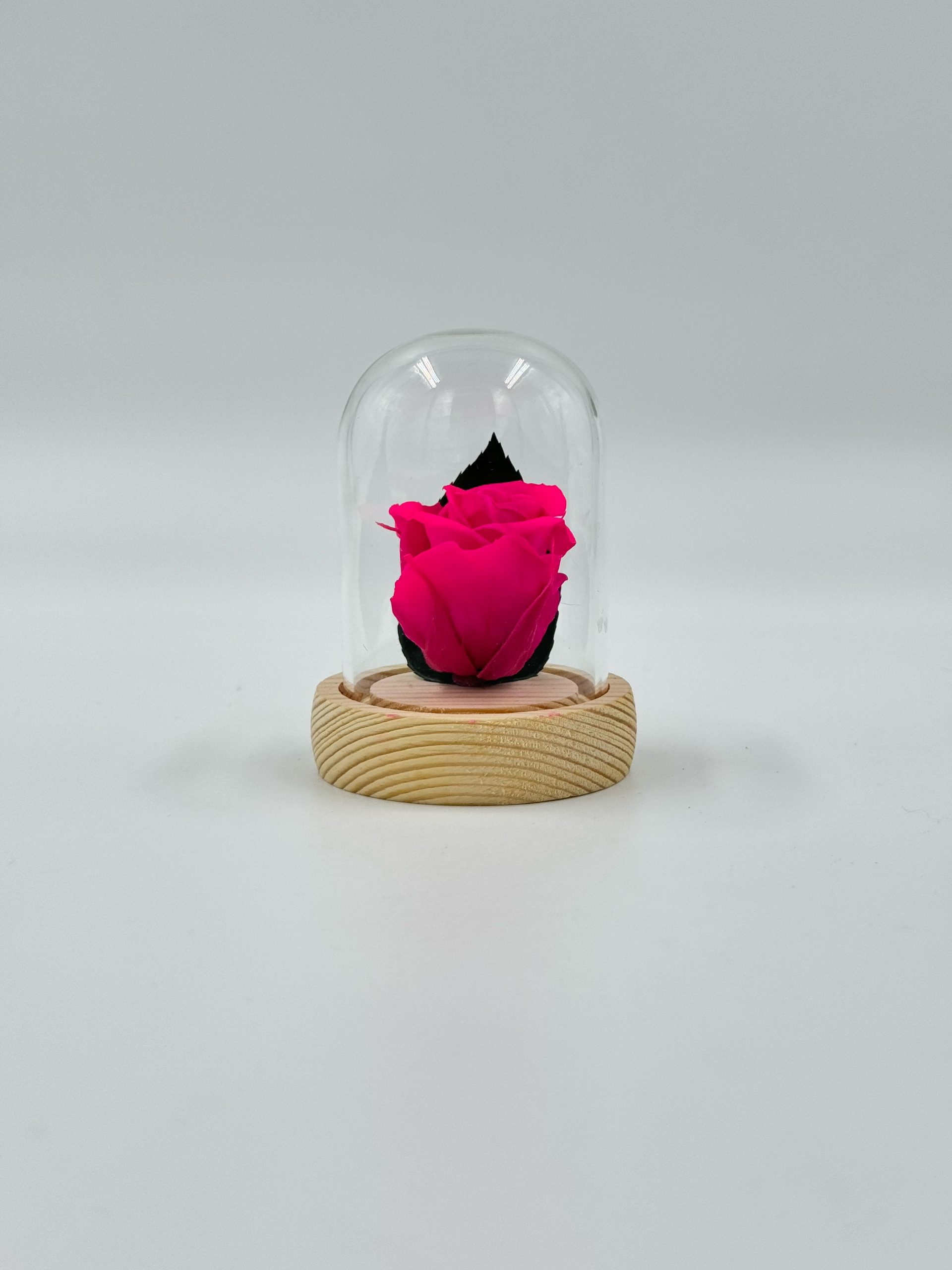 Elegance Mini Pink Rose Dome 1 DMINIRRO1-Mini-dome-rose-rose