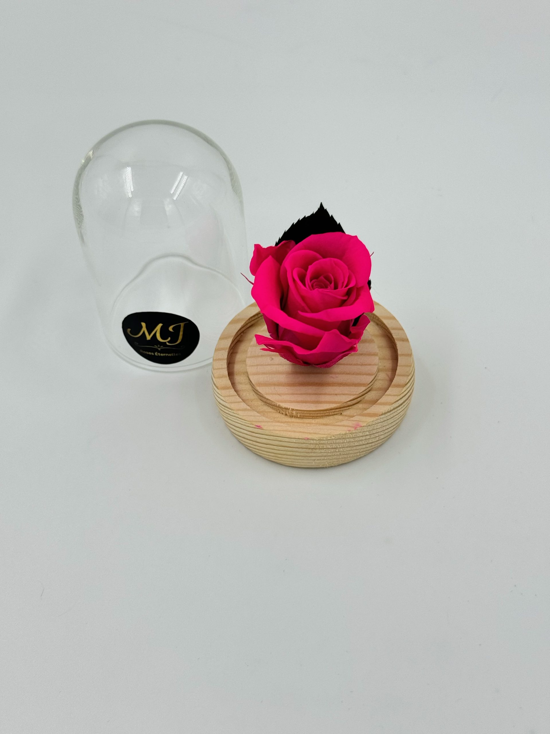 Elegance Mini Pink Rose Dome 2 DMINIRRO2-Mini-dome-rose-rose