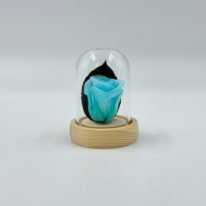 DMINIRT1-Mini-dome-rose-turquoise