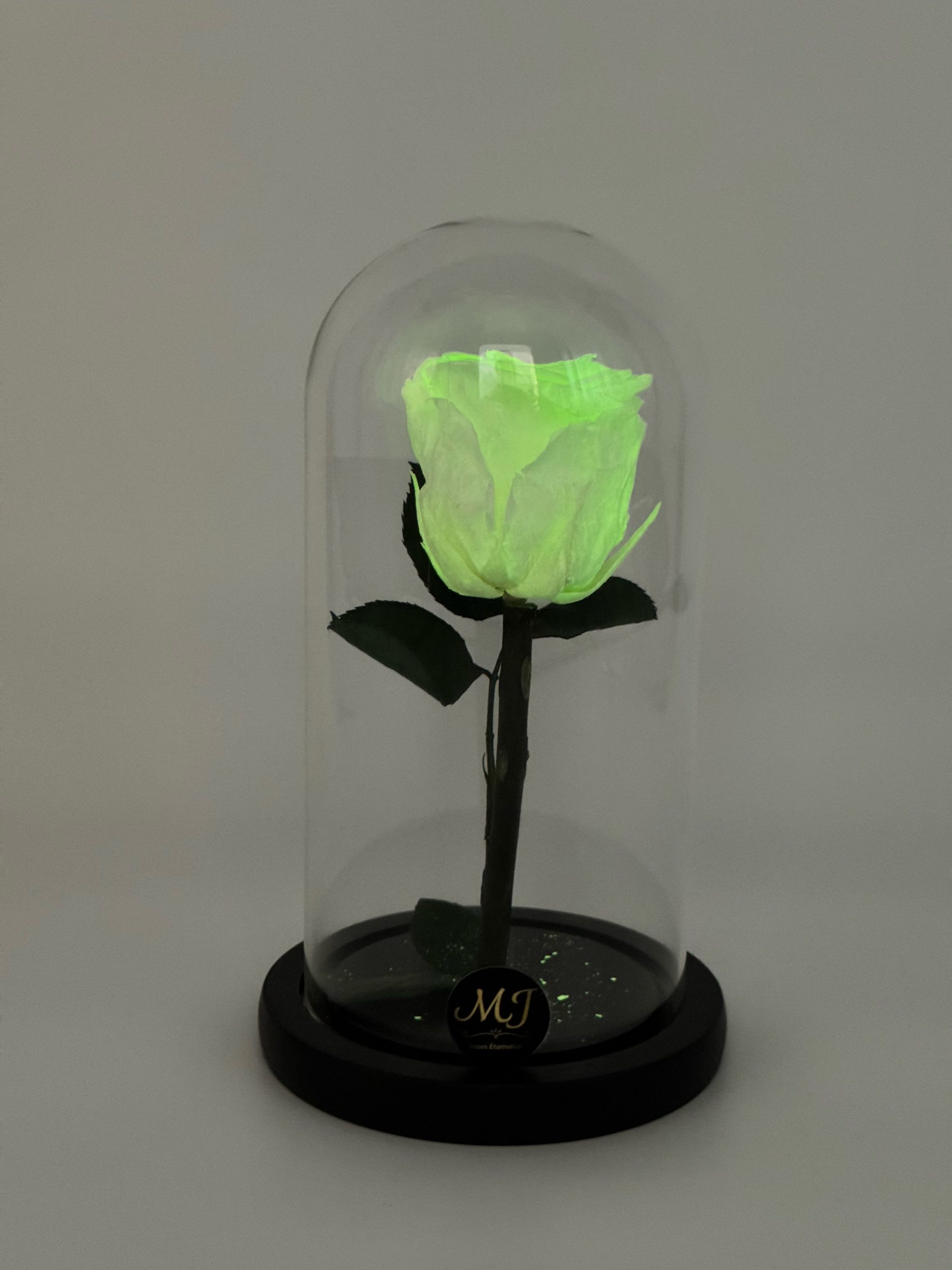Enchanted Fluorescent Medium Rose Dome 1 DMRF1-Dome-rose-fluo