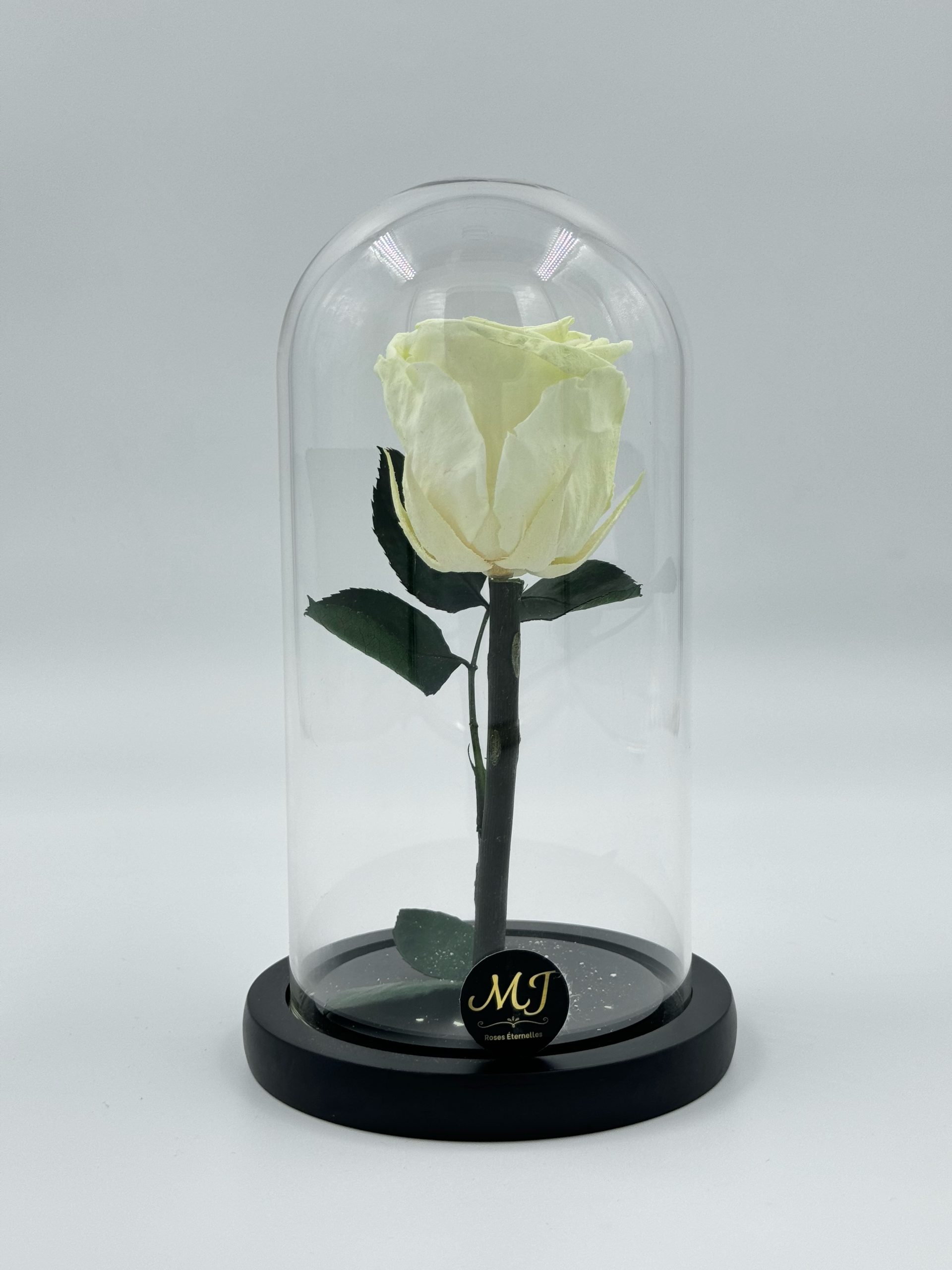 Enchanted Fluorescent Medium Rose Dome 2 DMRF2-Dome-rose-fluo