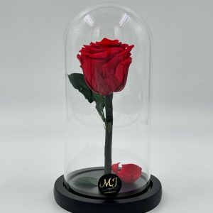 DMRR1-Dome-rose-rouge