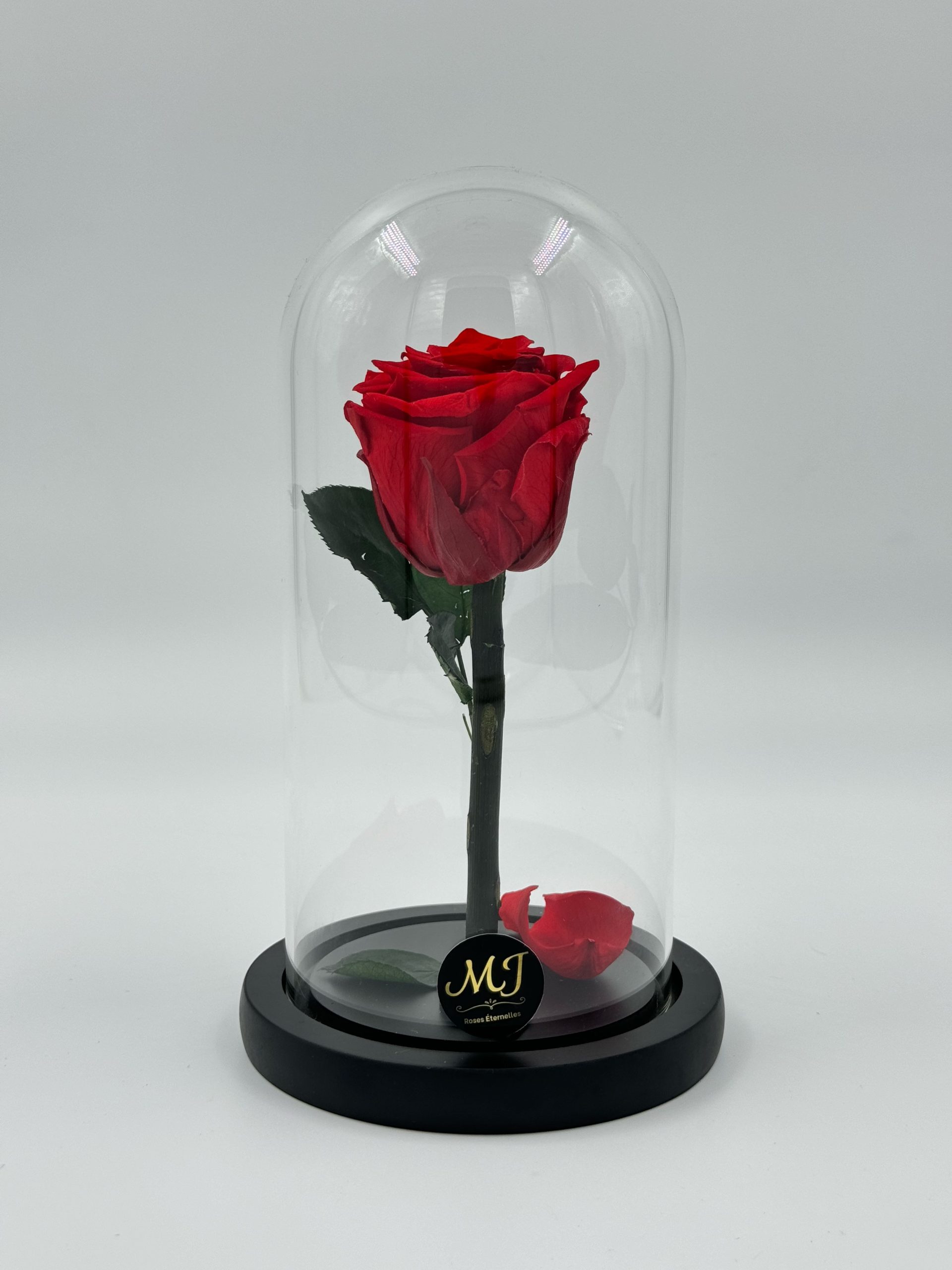 Beauty Medium Red Rose Dome 1 DMRR1-Dome-rose-rouge