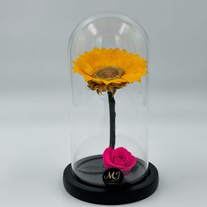 DMTY1-Dome-tournesol-yellow