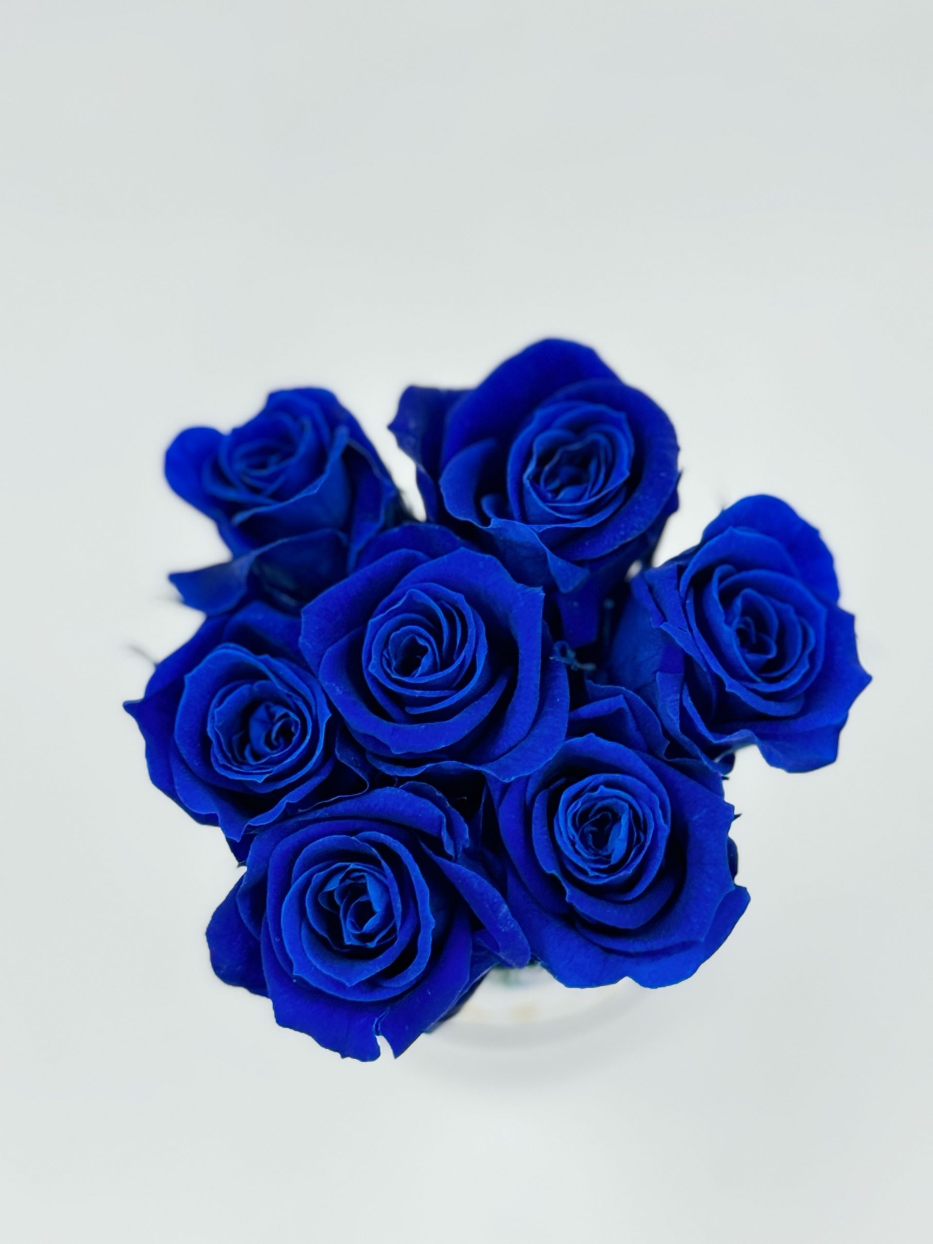 Mistery Mini Blue Roses Bouquet (Small White Box) 2 PBBBB3-Petite-boite-blanche-bouquet-roses-bleues