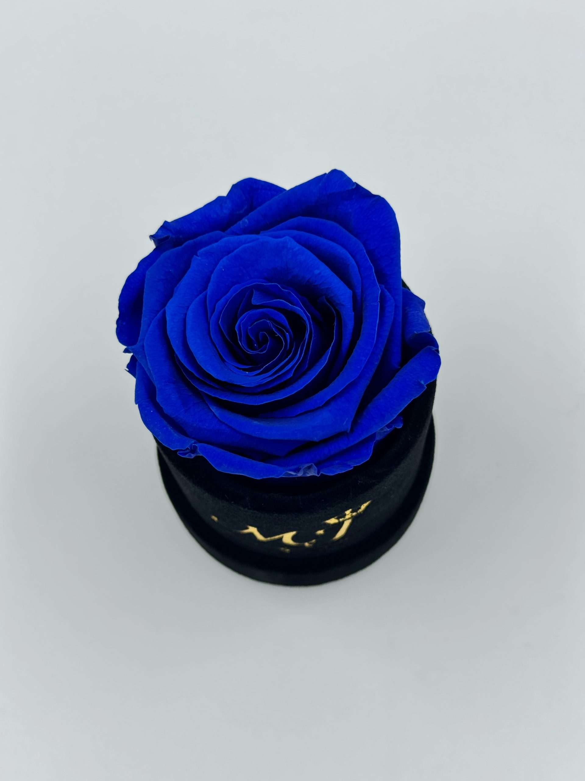 Mistery Medium Blue Rose Small Black Box 2 PBNB1-Petite-boite-noir-rose-bleu