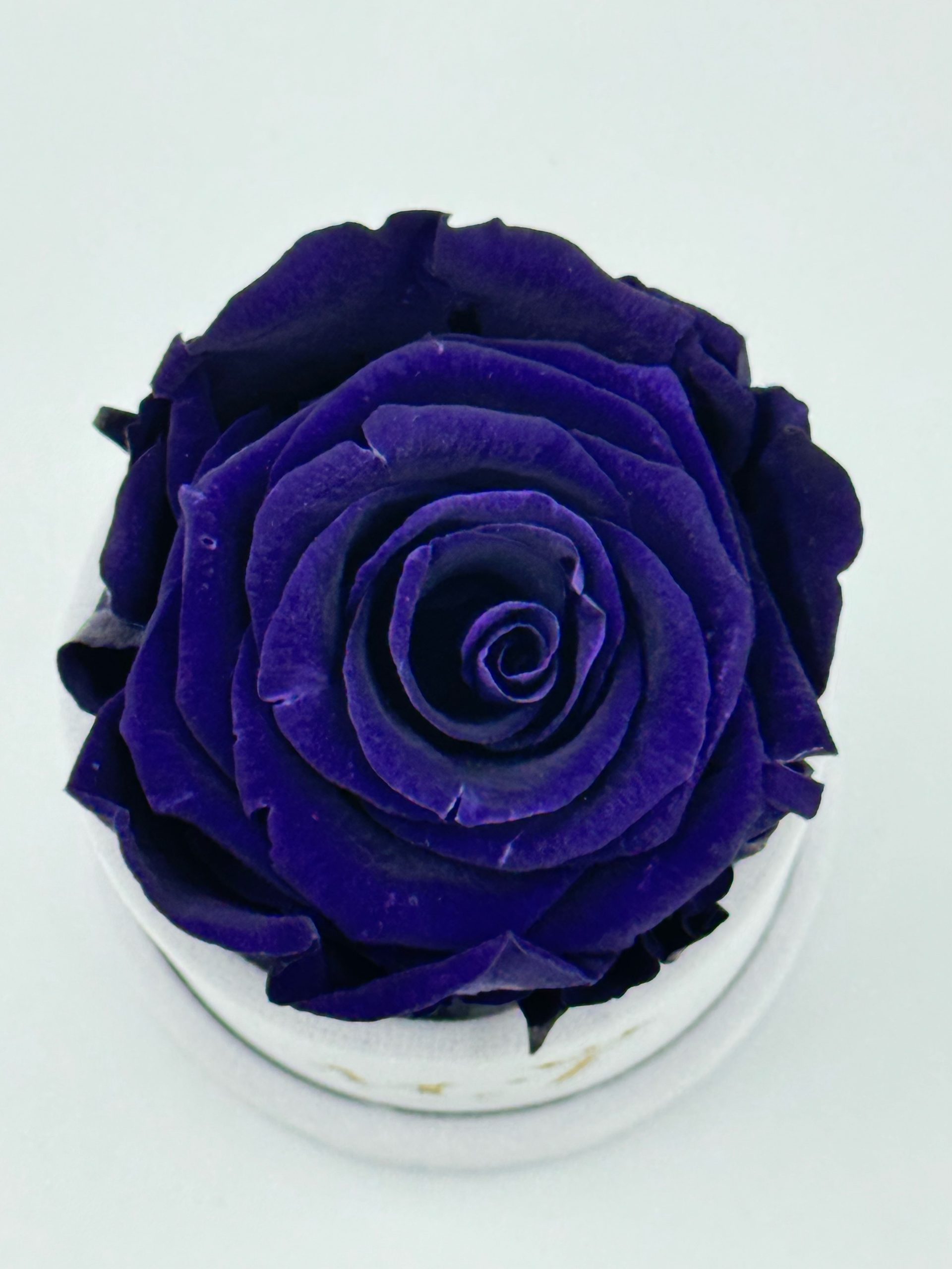 Majestic Medium Purple Rose Small White Box 2 PBNM1-Petite-boite-noir-rose-mauve