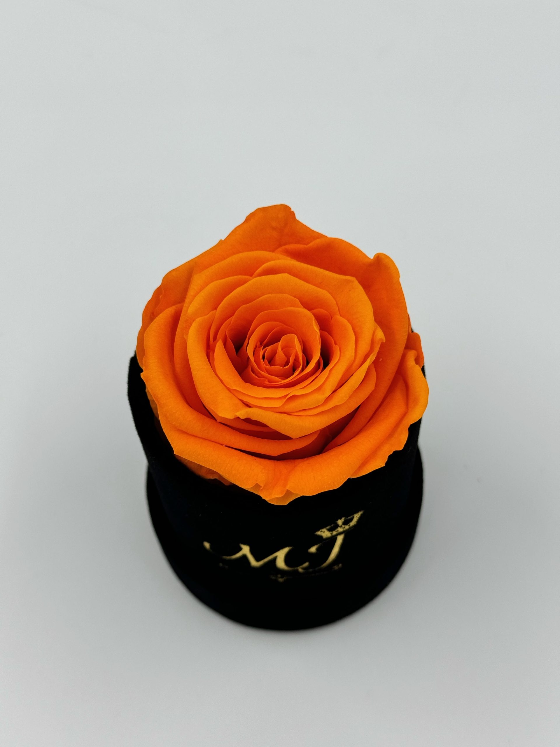 Intensity Medium Orange Rose Small Black Box 2 PBNO1-Petite-boite-noir-rose-orange