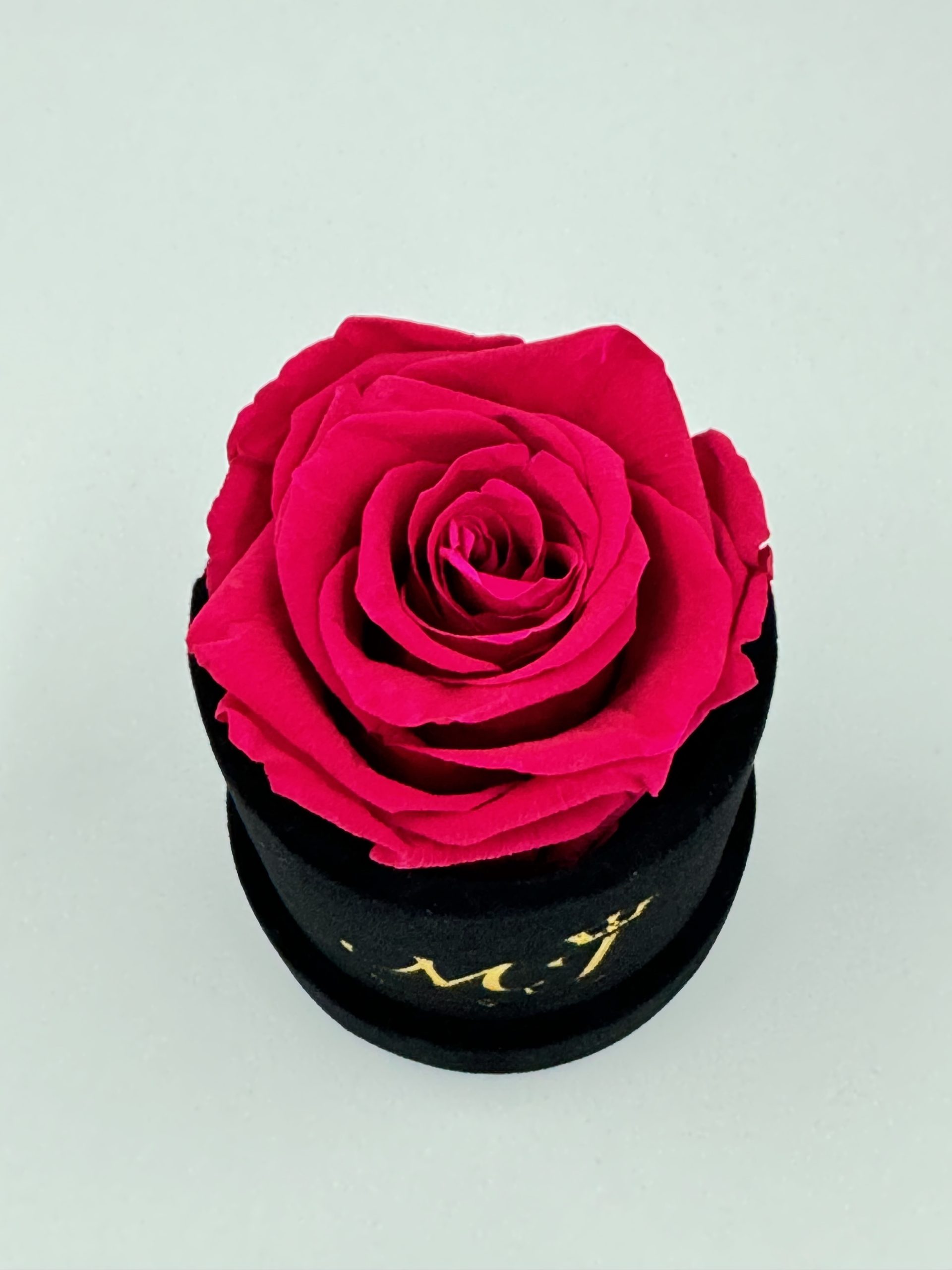 Elegance Medium Pink Rose Small Black Box 2 PBNR1-Petite-boite-noir-rose-rose