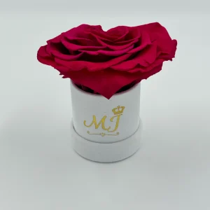 Beauty Jumbo Fuchsia Heart Rose Small White Box