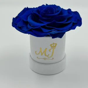 Mistery Jumbo Blue Rose Small White Box