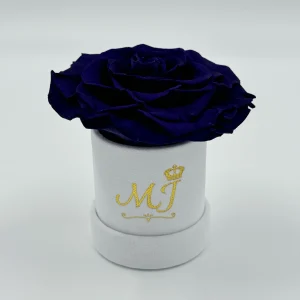 PBB-JR-M1-PBB-JR-B1-Petite-boite-blanche-jumbo-rose-mauve