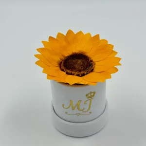 Honesty Sunflower Small White Box