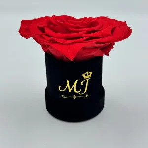 Beauty Jumbo Red Heart Rose Small Black Box