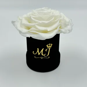 PBN-JR-W1-Petite-boite-noir-jumbo-rose-blanche