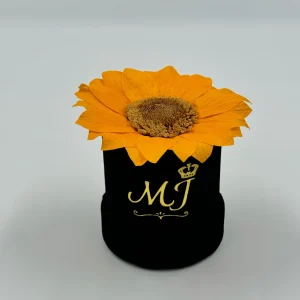 PBN-T-Y1-Petire-boite-noir-sunflower-jaune