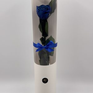 Eternal Rose Mistery Blue with Stem (White Cylinder Packaging)