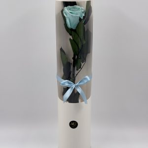 Eternal Rose Paradise Aqua with Stem (White Cylinder Packaging)