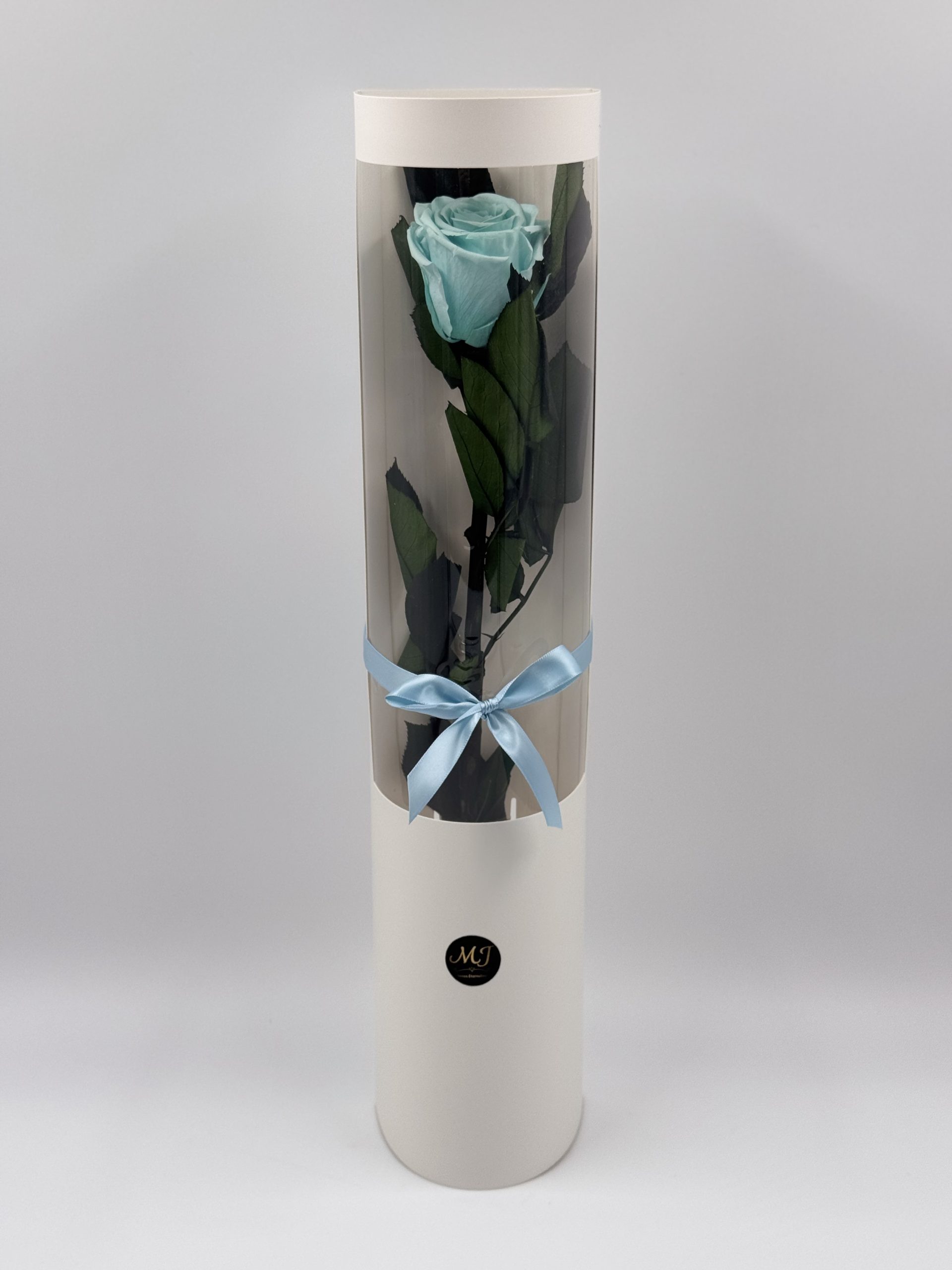 Eternal Rose Paradise Aqua with Stem (White Cylinder Packaging) 1 Eternal Rose Paradise Aqua with Stem (White Cylinder Packaging)