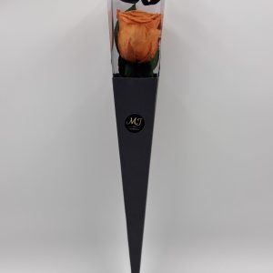 TPN-RT-O-Pack-triangle-noir-rose-orange