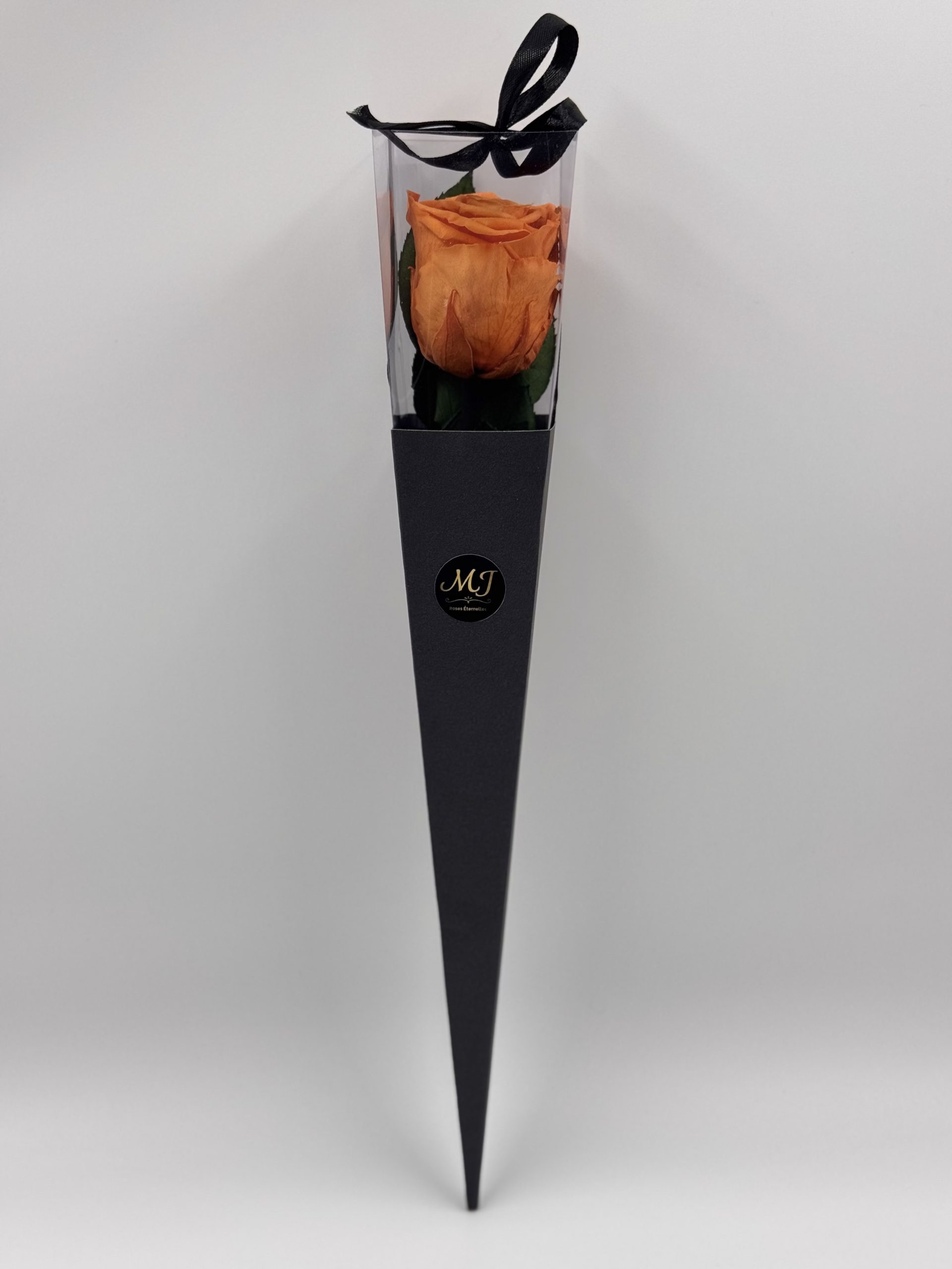 Eternal Rose Intensity Orange with Stem (Black Triangular Packaging) 1 TPN-RT-O-Pack-triangle-noir-rose-orange