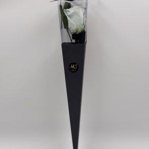 Eternal Rose Heaven Off White with Stem (Black Triangular Packaging)