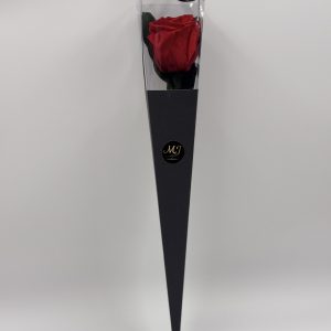 Eternal Rose Beauty Red with Stem (Black Triangular Packaging)