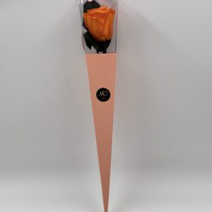 Eternal Rose Intensity Orange with Stem (Pink Triangular Packaging)