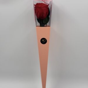 Eternal Rose Beauty Red with Stem (Pink Triangular Packaging)