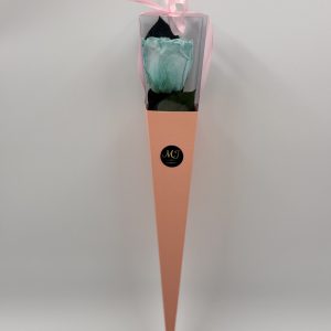 Eternal Rose Paradise Aqua with Stem (Pink Triangular Packaging)