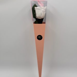 Eternal Rose Purity White with Stem (Pink Triangular Packaging)
