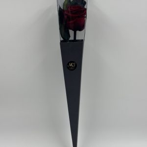 Pack-triangle-noir-rose-rouge-fonce