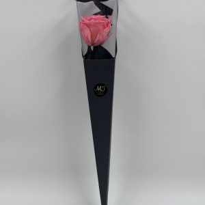 Pack-triangle-noir-rose-pink-pale