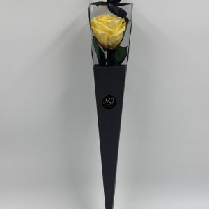 Pack-triangle-noir-rose-jaune