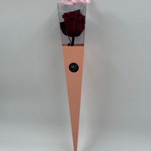 Pack-triangle-pink-rose-rouge-fonce