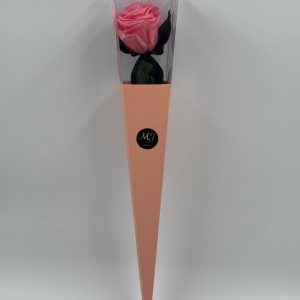 -Pack-triangle-pink-rose-pink-pale