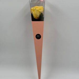 Pack-triangle-pink-rose-jaune